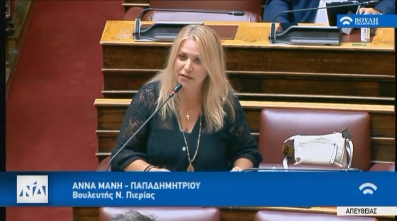 Άννα Μάνη – Παπαδημητρίου: Άμεση προτεραιότητα η διαφύλαξη των συνόρων μας