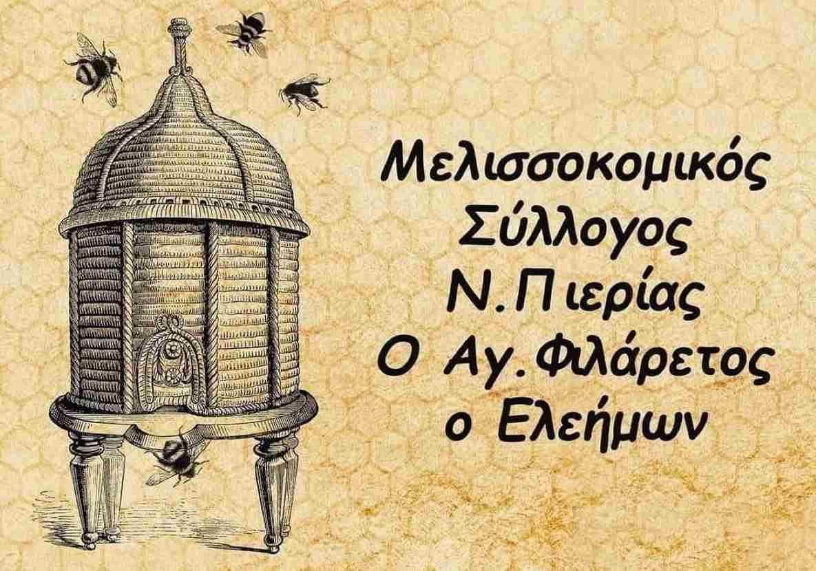 Παγκόσμια Ημέρα Μέλισσας & Η Μελισσοκομία της Πιερίας: Μια Υπόθεση Ζωής