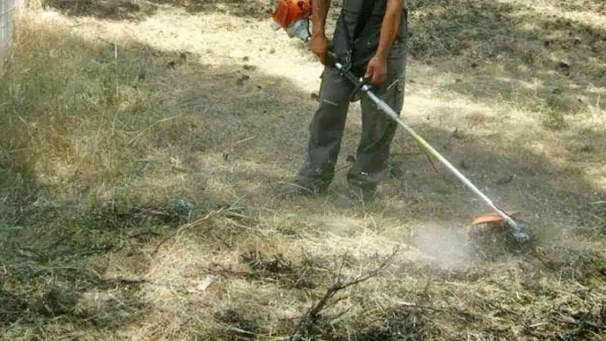 Ακαθάριστα οικόπεδα: Παράταση έως και τις 15 Ιουνίου για την υποβολή δηλώσεων καθαρισμού