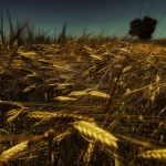 Παγκόσμια Ημέρα Φωτογραφίας