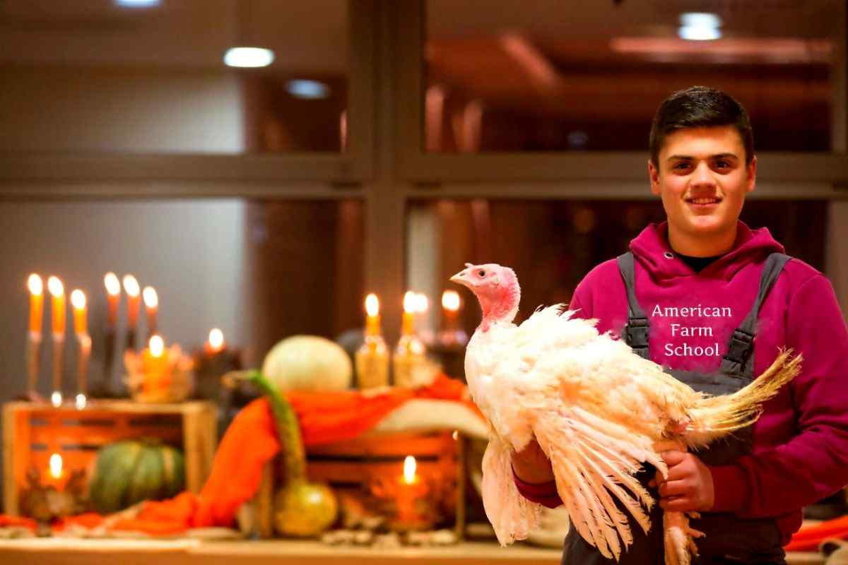 Η πιο… εκπαιδευτική γαλοπούλα της Ελλάδας επιστρέφει τα Χριστούγεννα